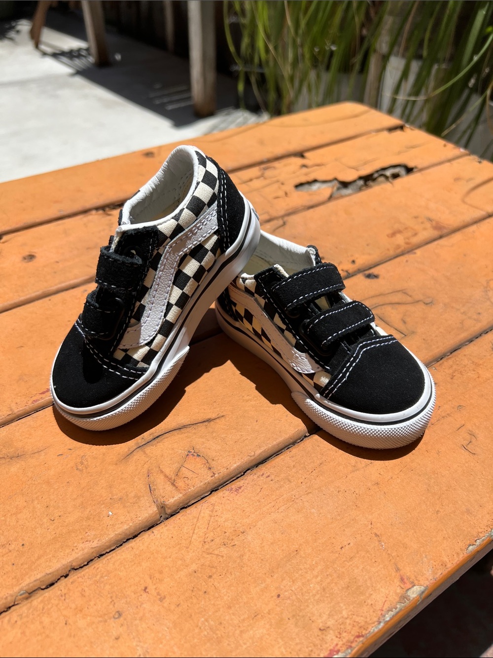 Vans Toddler 5